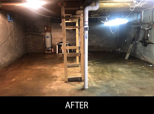 before and after photos of full service clean outs